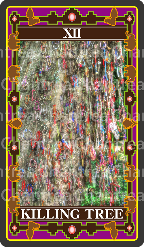 12 KILLINGTREE:キリングツリー