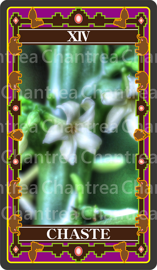14 CHASTE:清らか