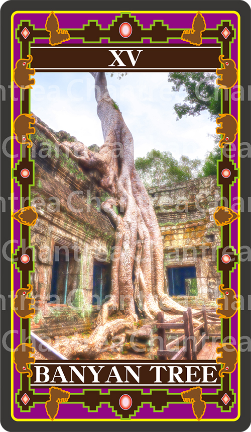 15 BANYANTREE: ガジュマルの樹